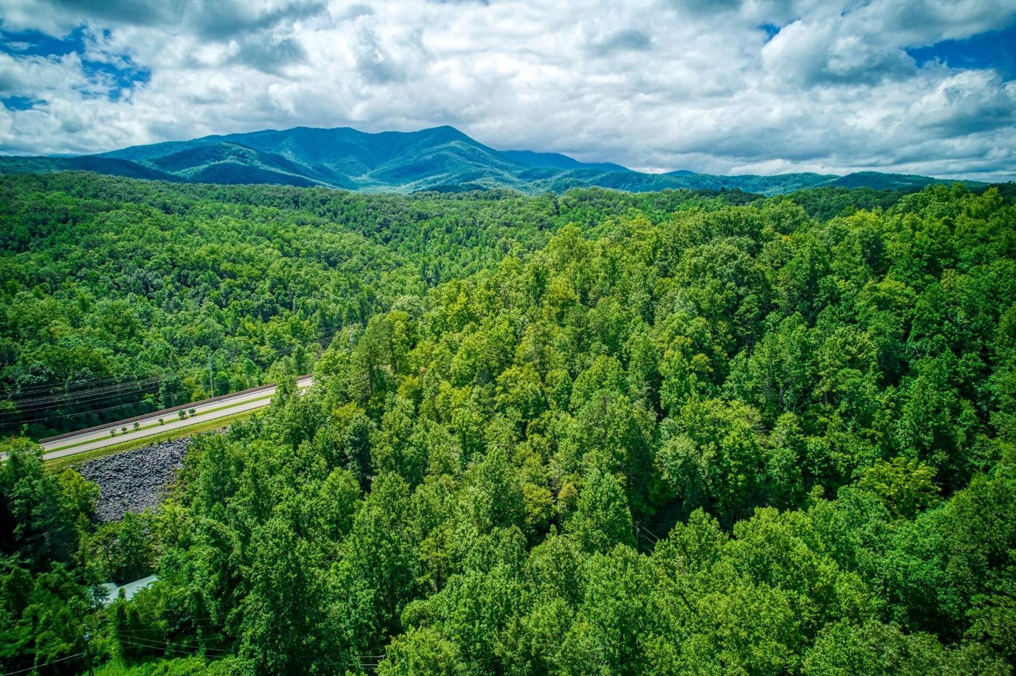 Magical Moments, Hot Tub, Wifi, 1089 Free Tickets Each Paid Day, Dollywood And More Gatlinburg Buitenkant foto