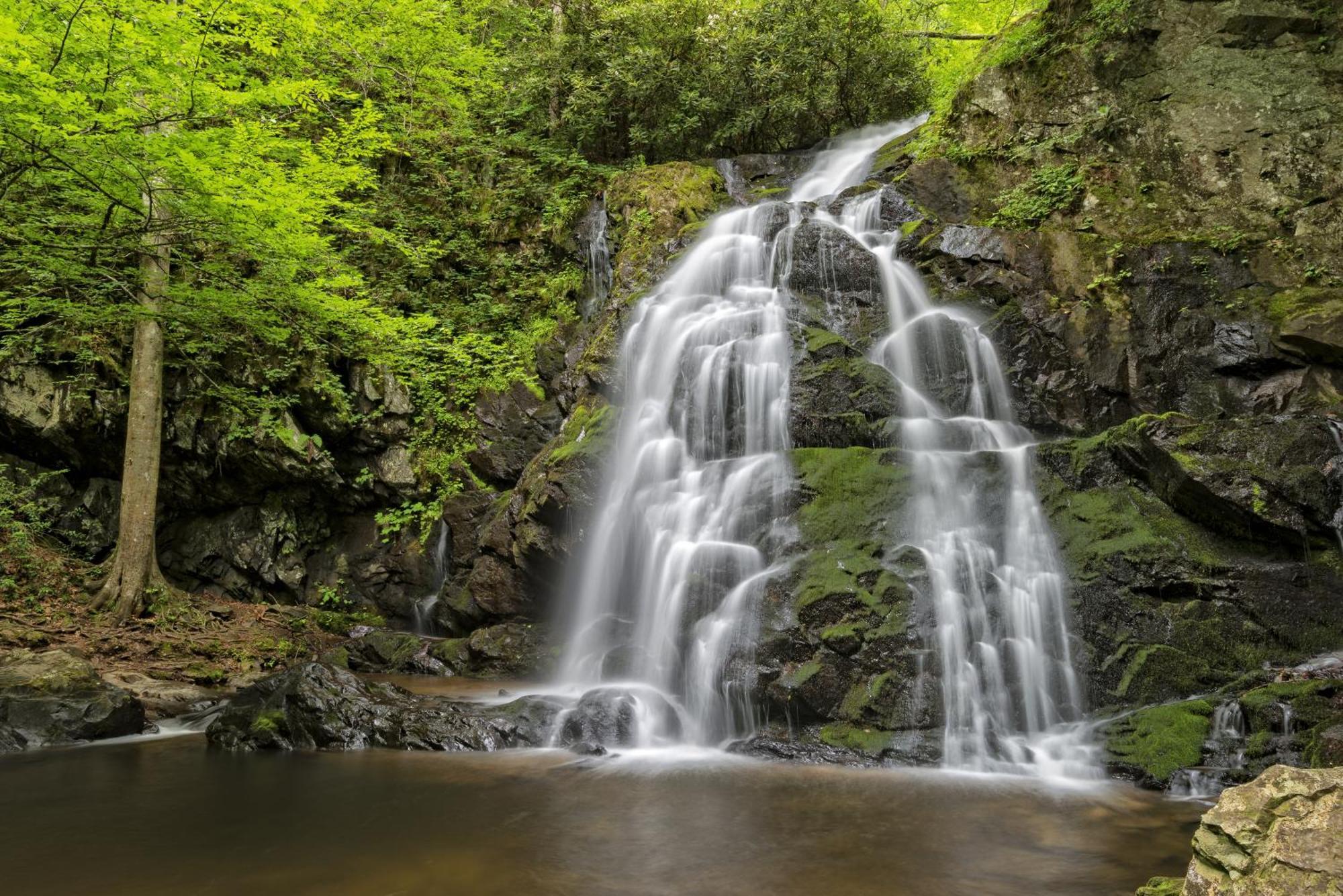 Magical Moments, Hot Tub, Wifi, 1089 Free Tickets Each Paid Day, Dollywood And More Gatlinburg Buitenkant foto